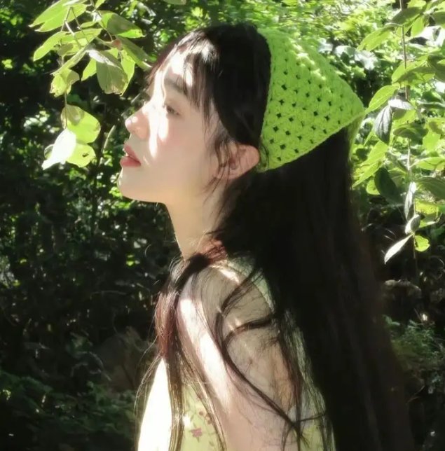 宝岛大梦
